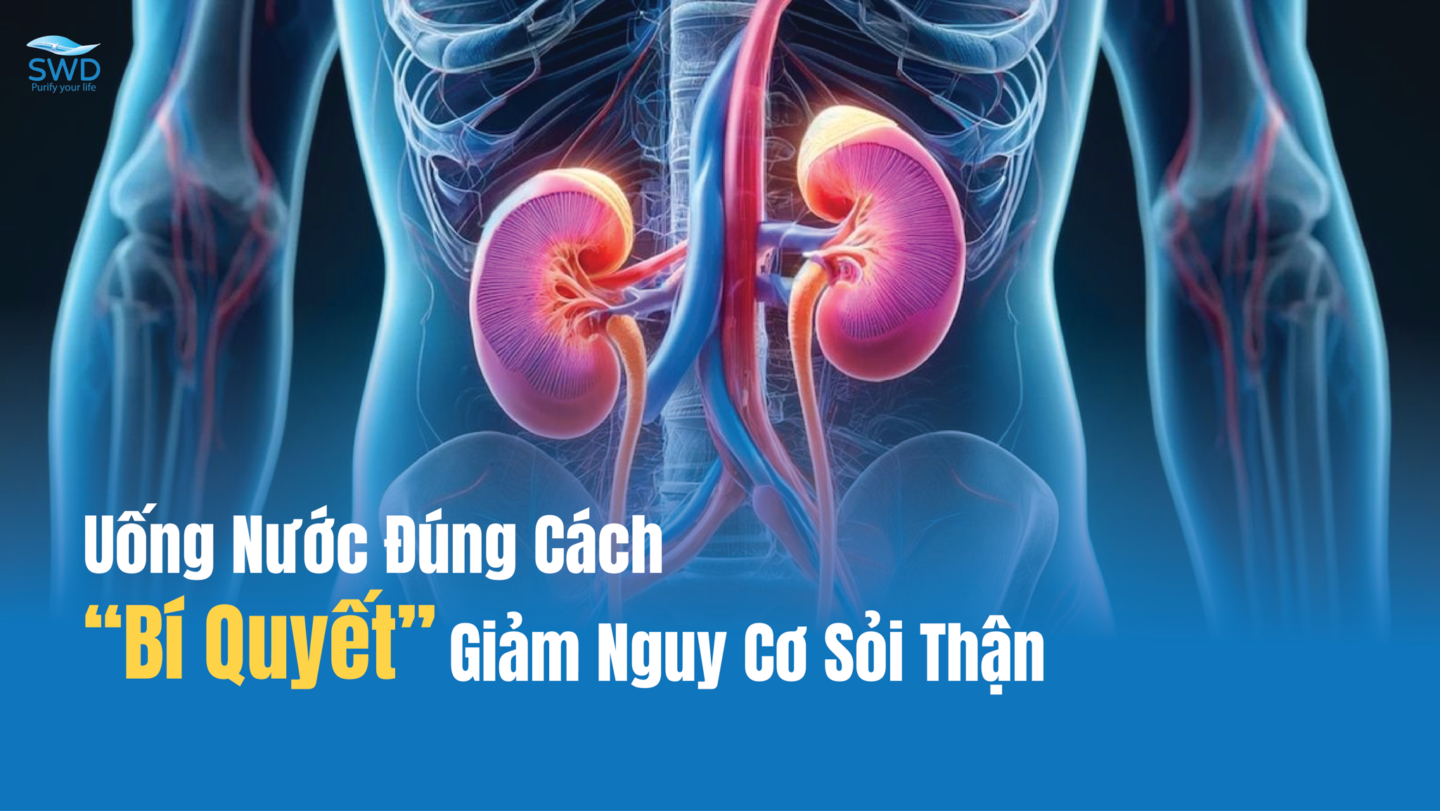 UỐNG NƯỚC ĐÚNG CÁCH – BÍ QUYẾT GIẢM NGUY CƠ SỎI THẬN
