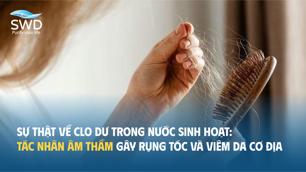 Sự thật về Clo dư trong nước sinh hoạt: Tác nhân âm thầm gây rụng tóc và viêm da cơ địa
