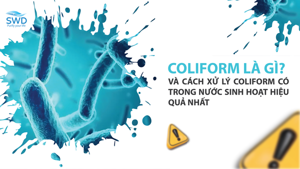 Coliform là gì? Cách xử lý Coliform trong nước sinh hoạt hiệu quả nhất