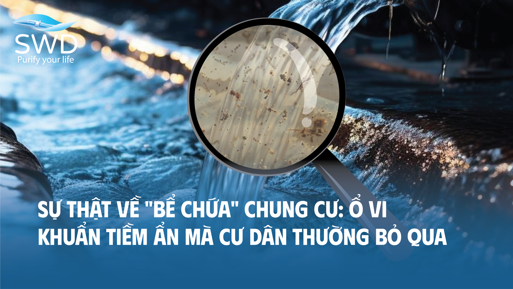 Sự thật về 