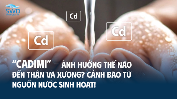 CADIMI ẢNH HƯỞNG THẾ NÀO ĐẾN THẬN VÀ XƯƠNG? CẢNH BÁO TỪ NGUỒN NƯỚC SINH HOẠT!