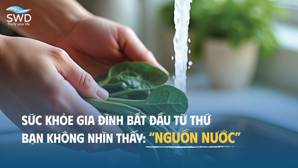 Sức khỏe gia đình bắt đầu từ thứ bạn không nhìn thấy: nguồn nước
