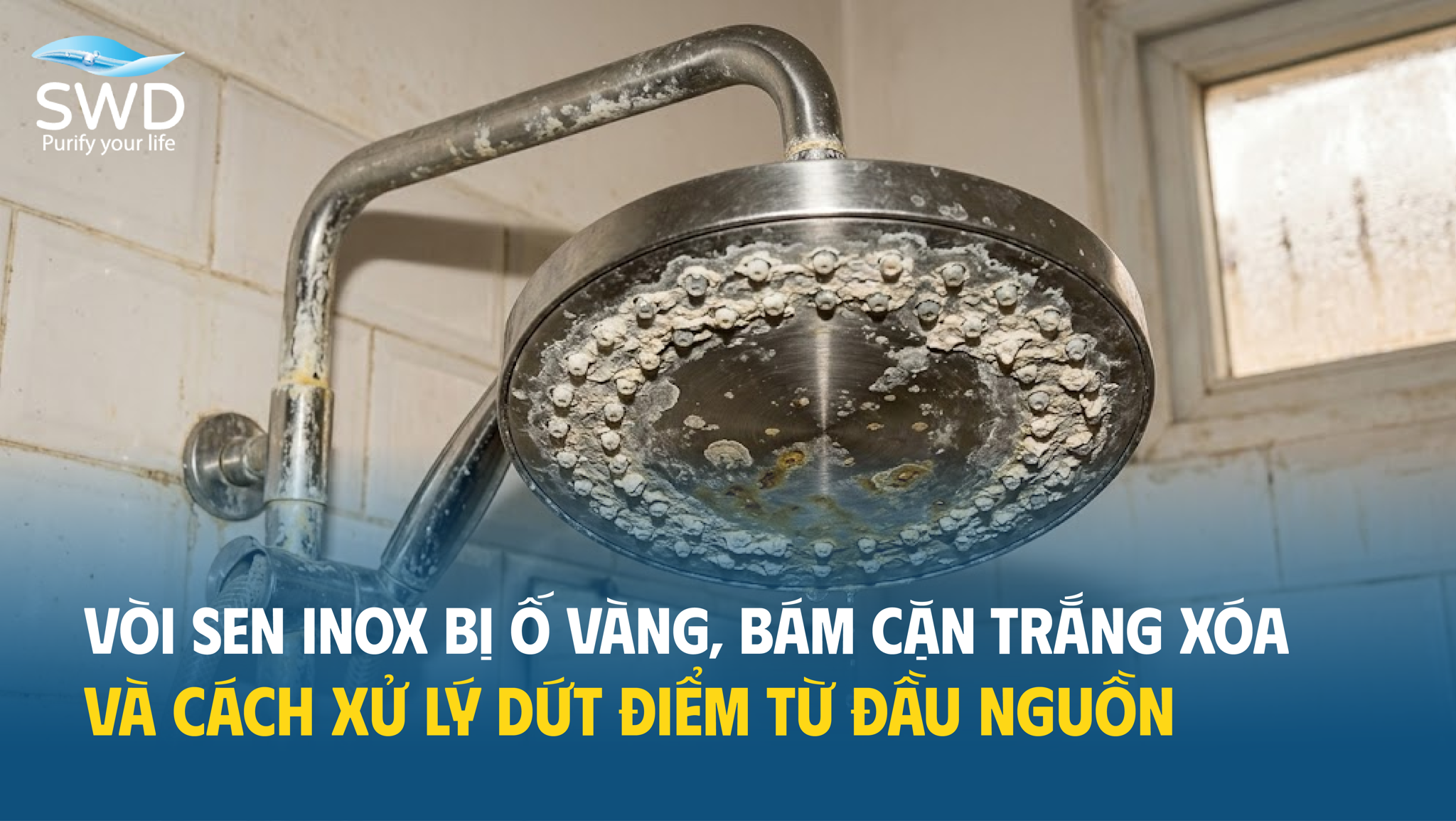 Vòi sen inox bị ố vàng, bám cặn trắng xóa: Cách xử lý dứt điểm từ nguồn