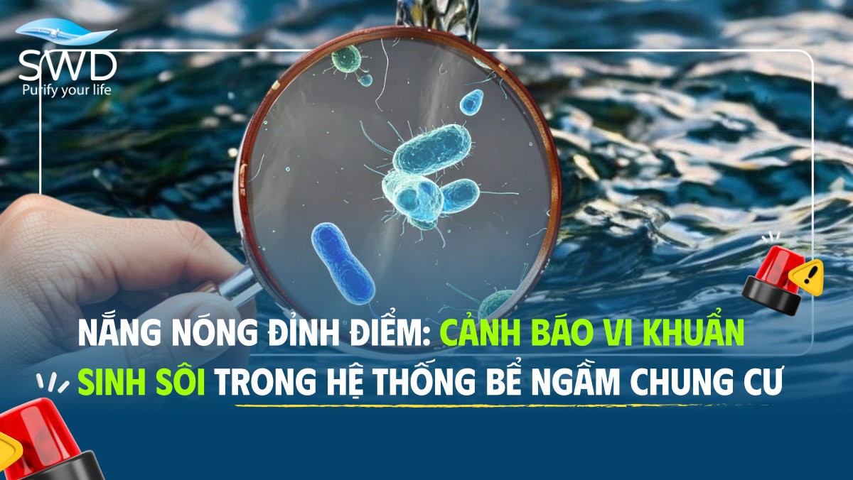 Nắng nóng đỉnh điểm: Cảnh báo vi khuẩn sinh sôi trong hệ thống bể ngầm chung cư