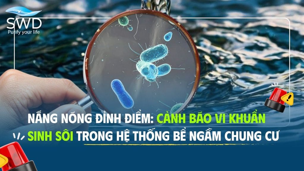 Nắng nóng đỉnh điểm: Cảnh báo vi khuẩn sinh sôi trong hệ thống bể ngầm chung cư