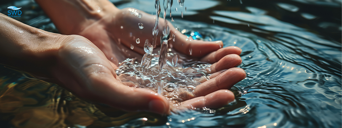 Máy lọc nước tổng căn hộ