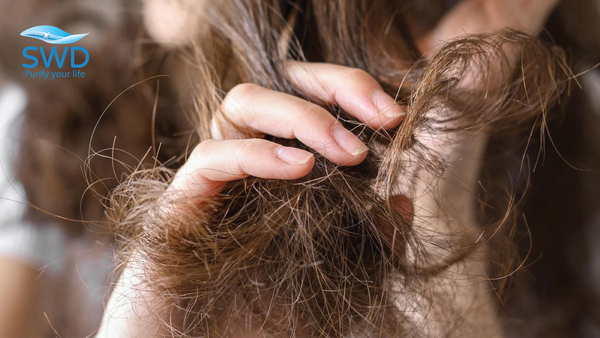Bí mật của làn da mịn và mái tóc mượt: Không chỉ là mỹ phẩm, đó là nguồn nước