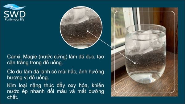 Đá lạnh có mùi hôi, nước ép xỉn màu: Điểm mù trong gian bếp mùa hè