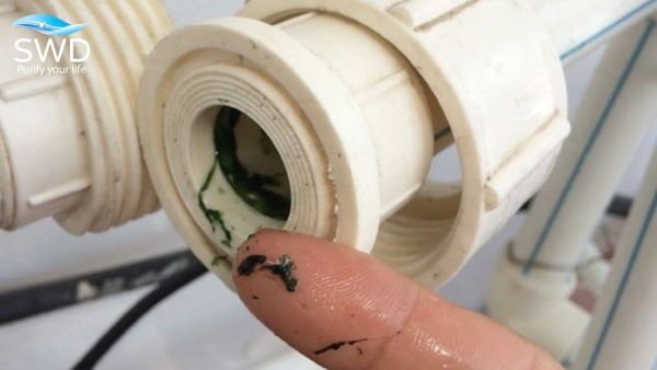 Nắng nóng kéo dài làm mất tác dụng của hóa chất khử trùng, biến bể ngầm chung cư thành 