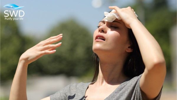 Nắng nóng kéo dài làm mất tác dụng của hóa chất khử trùng, biến bể ngầm chung cư thành 