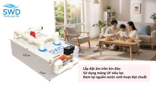 Nắng nóng kéo dài làm mất tác dụng của hóa chất khử trùng, biến bể ngầm chung cư thành 