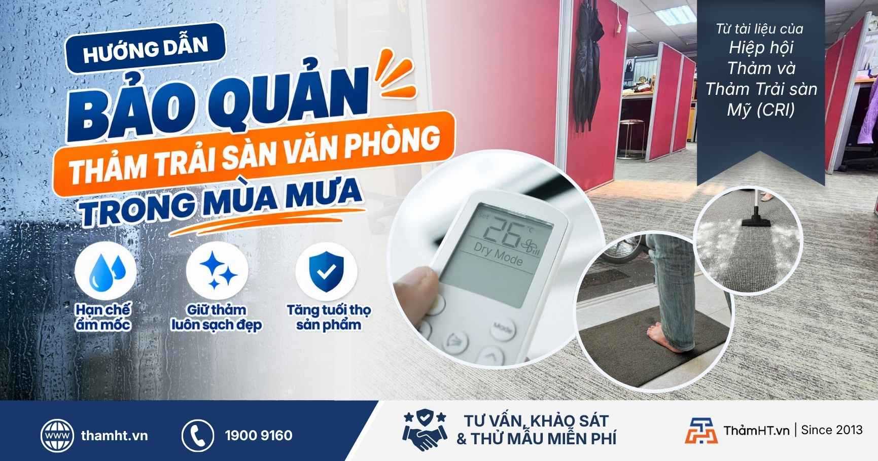 Giải Pháp Khoa Học Để Bảo Quản Thảm Trải Sàn Văn Phòng Trong Mùa Mưa