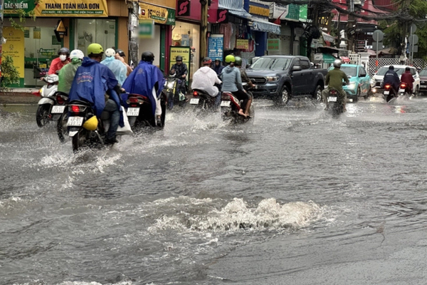 mưa nhiều có thể khiến thảm nhanh hỏng