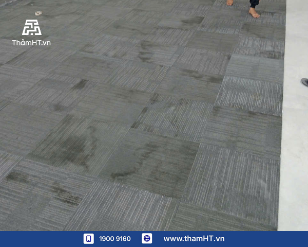 Mùa Mưa: Bài Kiểm Tra Thực Tế Cho Thảm Văn Phòng & 5 Dấu Hiệu Cảnh Báo Cần Thay Thảm