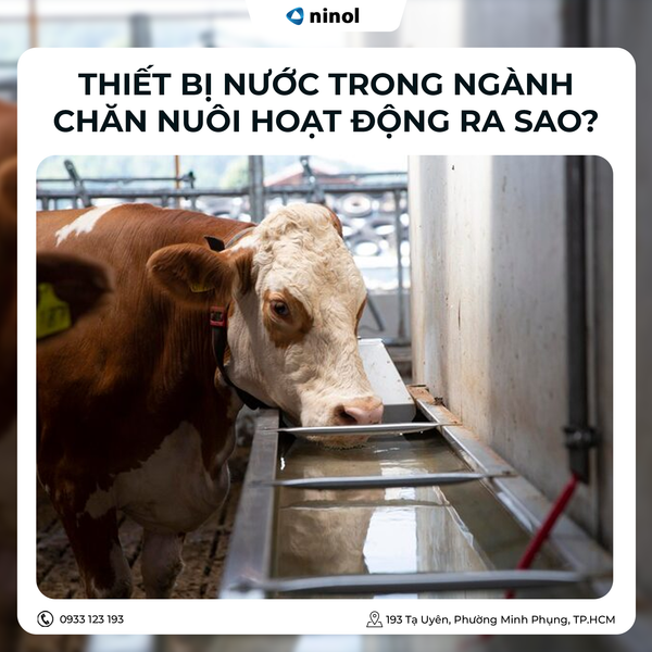 Thiết bị nước trong ngành chăn nuôi hoạt động ra sao?