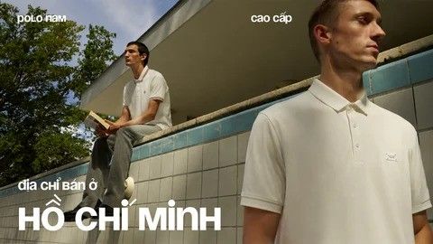 Áo Polo Nam Hồ Chí Minh: Top 5 Thương Hiệu Áo Polo Nam Cao Cấp Đáng Mua