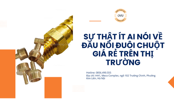 Sự thật ít ai nói về đầu nối đuôi chuột giá rẻ trên thị trường