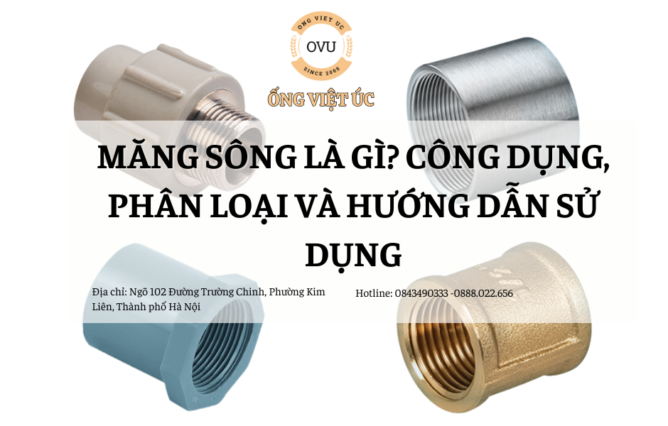 Măng Sông Là Gì? Công Dụng, Phân Loại Và Hướng Dẫn Sử Dụng