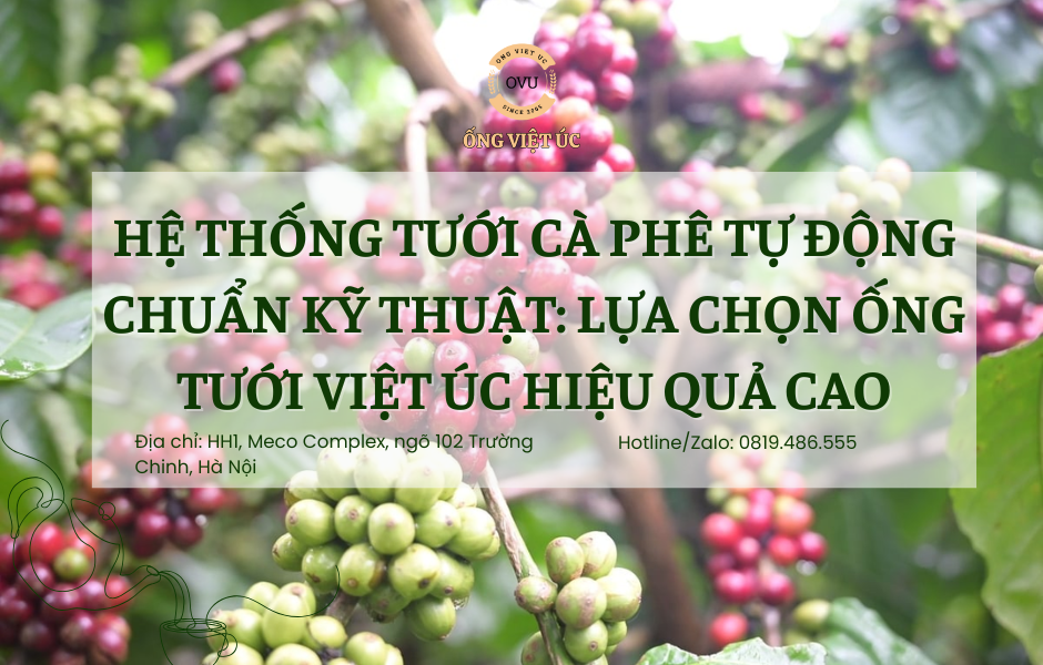 Hệ Thống Tưới Cà Phê Tự Động Chuẩn Kỹ Thuật: Lựa Chọn Ống Tưới Việt Úc Hiệu Quả Cao