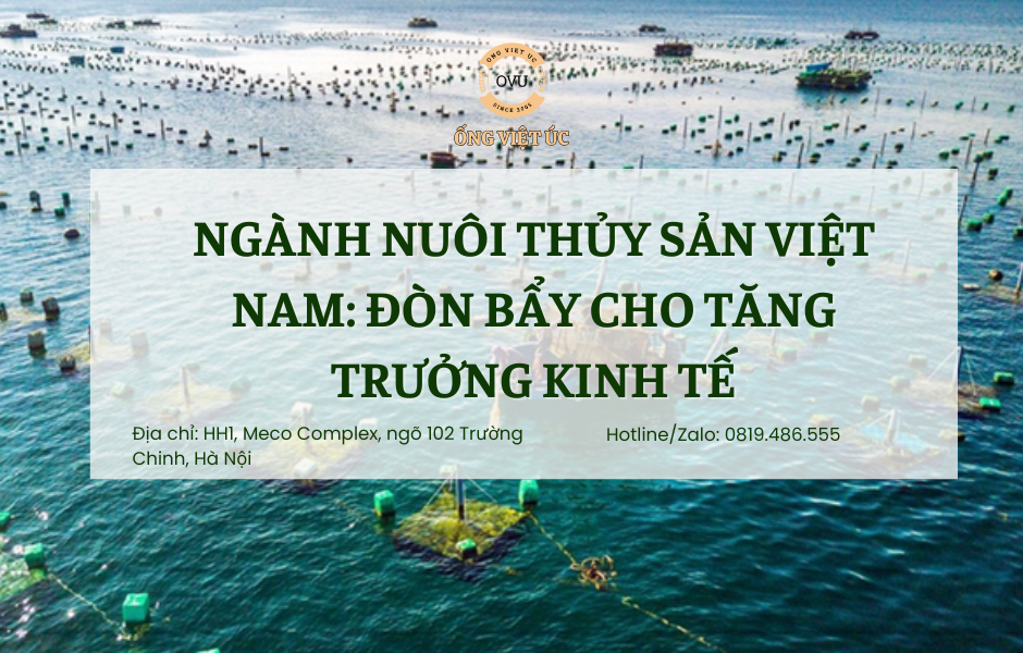 Ngành Nuôi Thủy Sản Việt Nam: Đòn Bẩy Cho Tăng Trưởng Kinh Tế