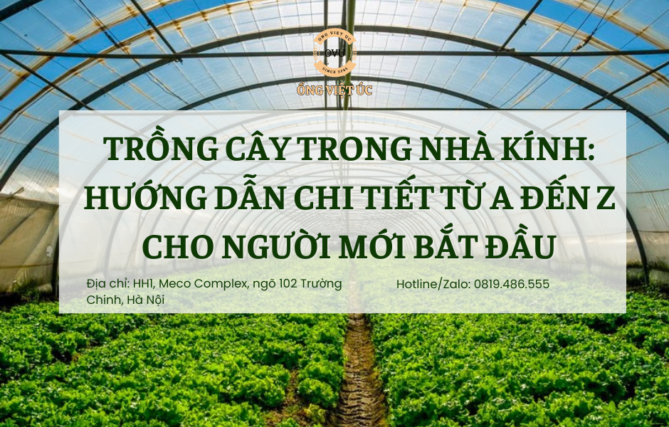 Trồng Cây Trong Nhà Kính: Hướng Dẫn Chi Tiết Từ A Đến Z Cho Người Mới Bắt Đầu