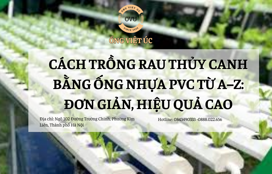 Cách Trồng Rau Thủy Canh Bằng Ống Nhựa PVC Từ A–Z: Đơn Giản, Hiệu Quả Cao