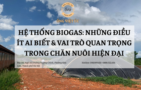 Hệ Thống Biogas: Những Điều Ít Ai Biết  Và Vai Trò Quan Trọng Trong Chăn Nuôi Hiện Đại
