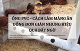 Ống PVC:  Cách Làm Máng Ăn Uống Đơn Giản Nhưng Hiệu Quả Bất Ngờ