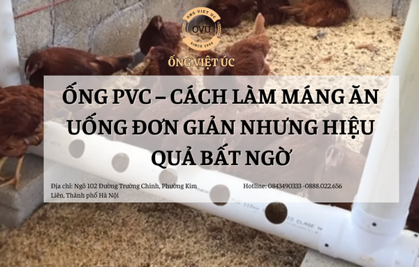 Ống PVC:  Cách Làm Máng Ăn Uống Đơn Giản Nhưng Hiệu Quả Bất Ngờ
