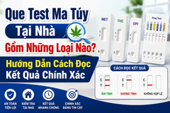 Que Test Ma Túy Tại Nhà Gồm Những Loại Nào? Hướng Dẫn Cách Đọc Kết Quả Chính Xác