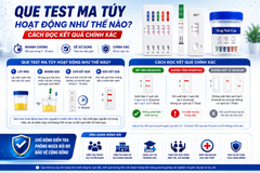 Que Test Ma Túy Hoạt Động Như Thế Nào? Cách Đọc Kết Quả Chính Xác