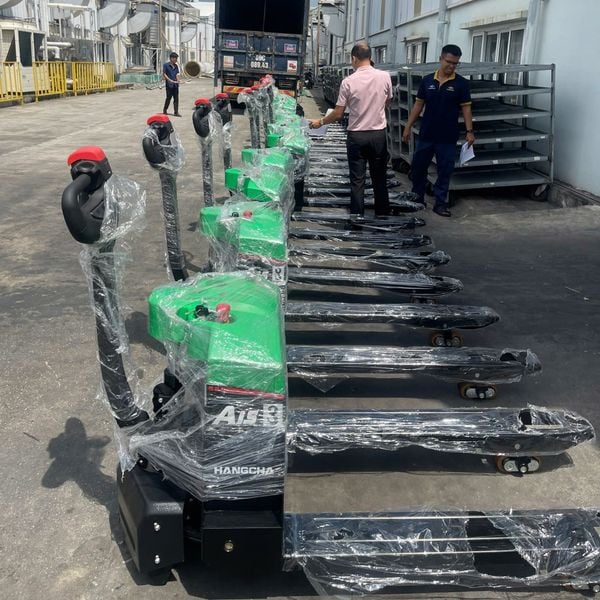 xe nâng tay điện 1.5 tấn