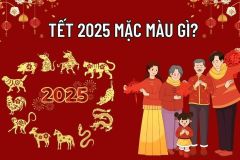 GỢI Ý TONE MÀU PHÙ HỢP VỚI 12 CON GIÁP NĂM 2026