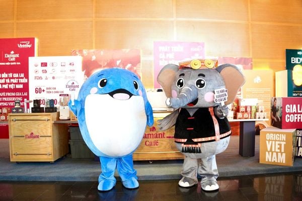 Đặc sản Gia Lai mua ở đâu? Khám phá Robusta đặc sản Gia Lai cùng L’amant Café mùa du lịch 2026