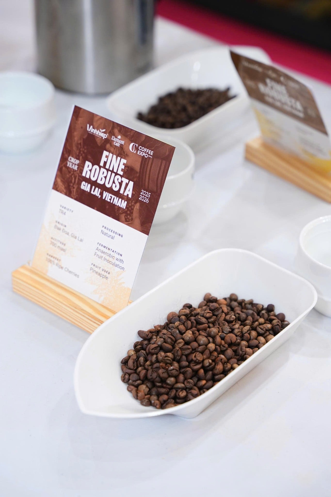 Caffeine Trong Cà Phê Là Gì? Tại Sao Robusta Khiến Bạn Tỉnh Táo Hơn Arabica