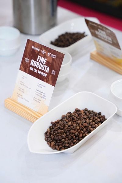 Caffeine Trong Cà Phê Là Gì? Tại Sao Robusta Khiến Bạn Tỉnh Táo Hơn Arabica