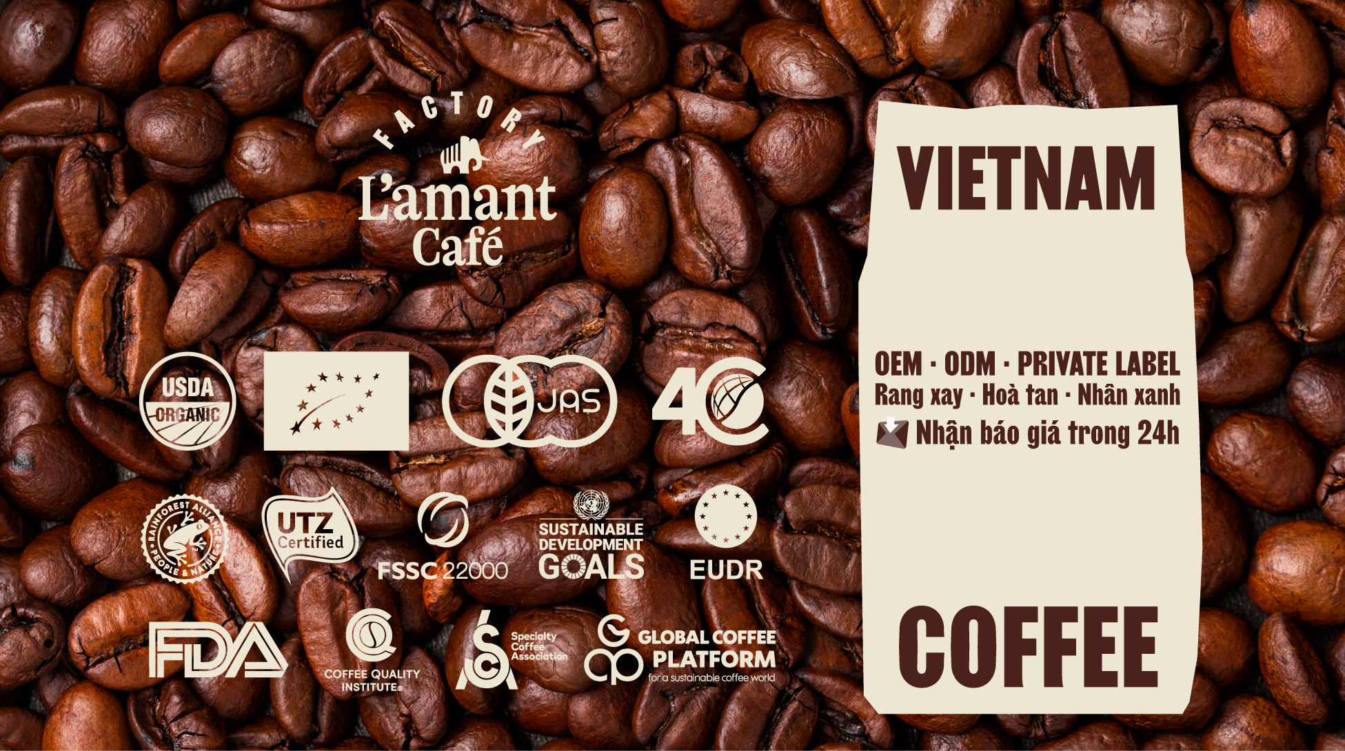Gia Công Cà Phê Rang Xay OEM & Private Label: Xây Dựng Thương Hiệu Từ Nền Tảng Nguồn Gốc Minh Bạch
