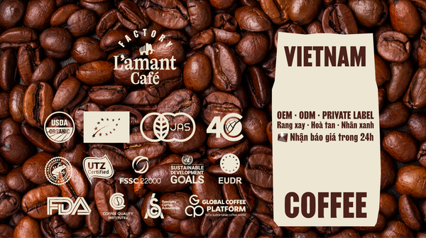 Gia Công Cà Phê Rang Xay OEM & Private Label: Xây Dựng Thương Hiệu Từ Nền Tảng Nguồn Gốc Minh Bạch