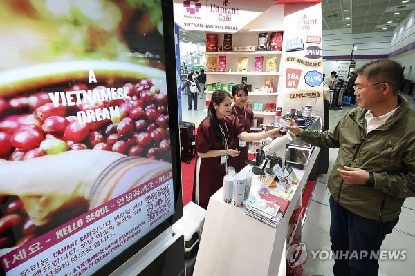 L'AMANT CAFÉ TỎA SÁNG TẠI COFFEE EXPO SEOUL 2026: KHẲNG ĐỊNH VỊ THẾ CÀ PHÊ HỮU CƠ VIỆT TRÊN SÂN KHẤU QUỐC TẾ