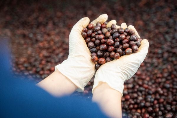 cà phê hạt với vị ngọt cân bằng