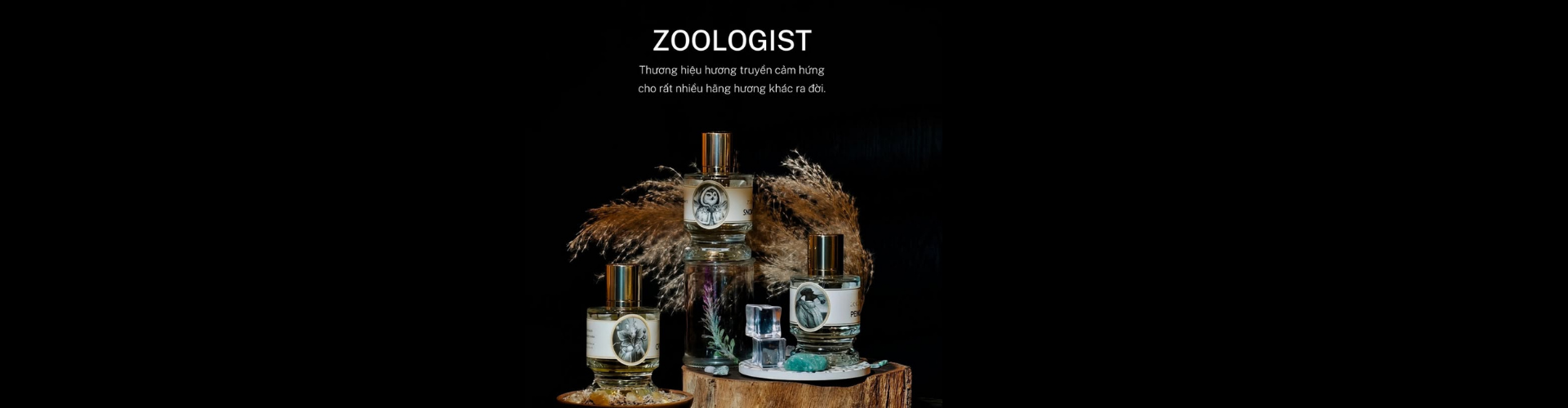 Zoologist Perfumes