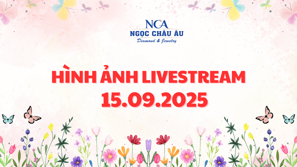 Hình Ảnh Livestream Ngày 15.09.2025