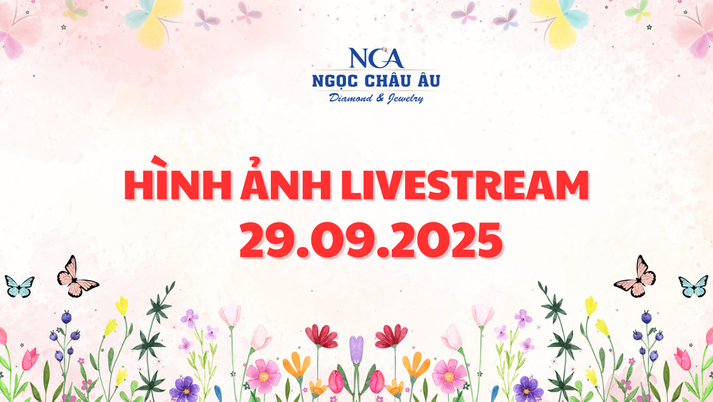 Hình Ảnh Livestream Ngày 29.09.2025