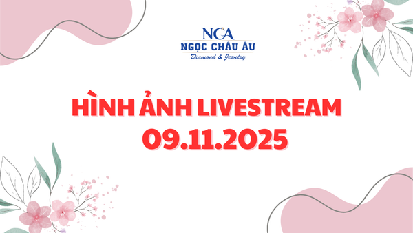 Hình Ảnh Livestream Ngày 09.11.2025