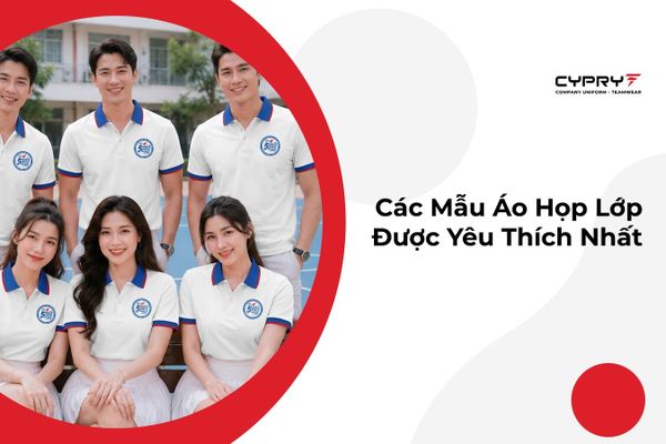Các Mẫu Áo Họp Lớp Được Yêu Thích Nhất
