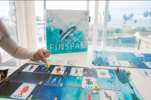 Review Finspan: 