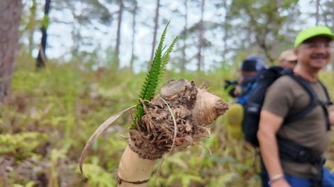 HÀNH TRÌNH TÁI HIỆN CON ĐƯỜNG ĐỔI MUỐI ĐẦY HIỂM TRỞ CỦA NGƯỜI K’HO [TROPICAL TREKKING TỔ CHỨC]