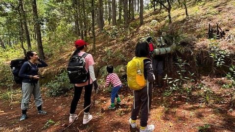 TOUR TREKKING CHO NGƯỜI MỚI: CẦN CHUẨN BỊ GÌ CHO CHUYẾN ĐẦU TIÊN
