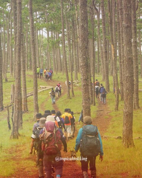 TROPICAL TREKKING - ONE OF THE BEST ADVENTURE COMPANY IN VIETNAM