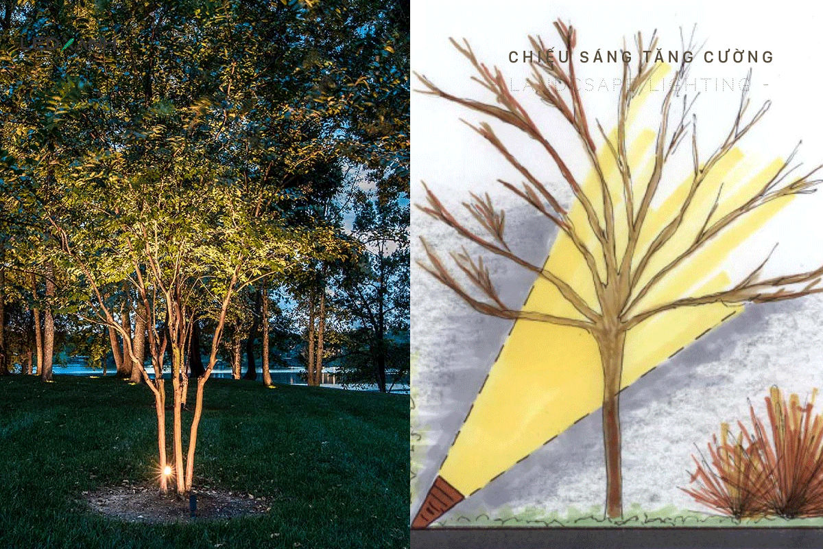 Kỹ thuật chiếu sáng bằng đèn cảnh quan